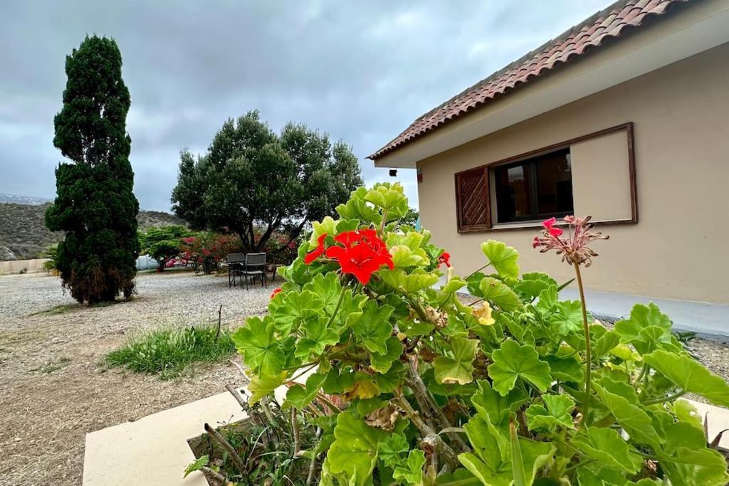 Peaceful Oasis With Magical Sea Views And A Pool Villa Santa Cruz de Tenerife Buitenkant foto